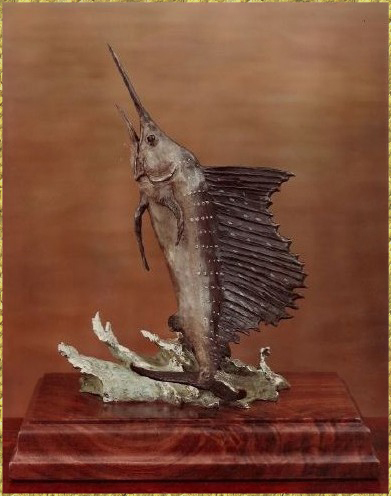 Atlantic Sailfish